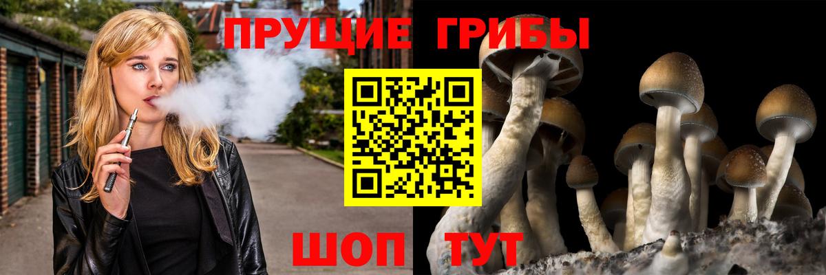 Калининград  Галлюциногенные грибы Magic Shrooms  Вход с VPN 